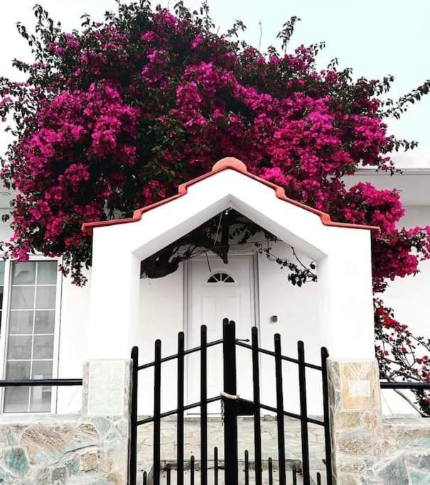 Annika's Summer Dream Livadia  Exterior foto